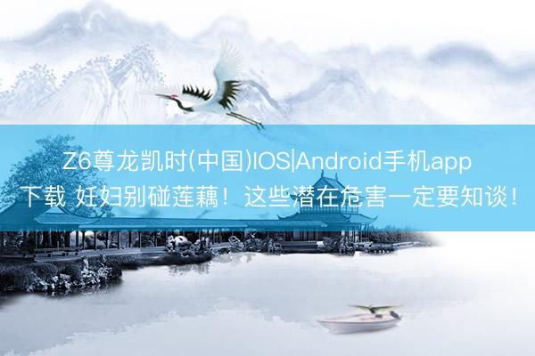 Z6尊龙凯时(中国)IOS|Android手机app下载 妊妇别碰莲藕！这些潜在危害一定要知谈！