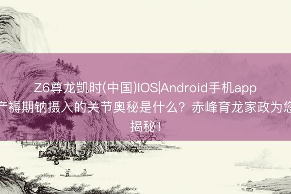Z6尊龙凯时(中国)IOS|Android手机app下载 产褥期钠摄入的关节奥秘是什么?赤峰育龙家政为您揭秘!