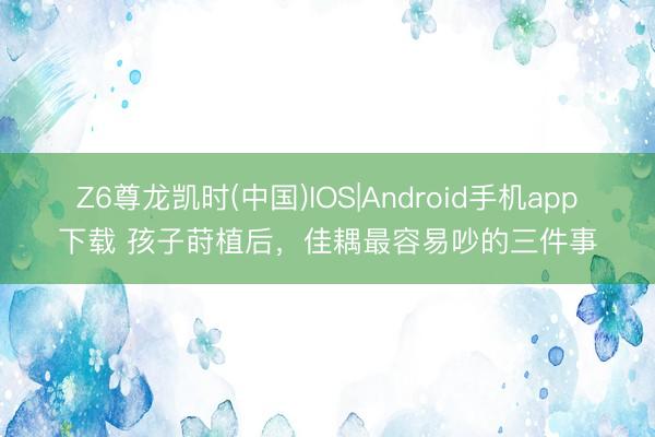 Z6尊龙凯时(中国)IOS|Android手机app下载 孩子莳植后，佳耦最容易吵的三件事