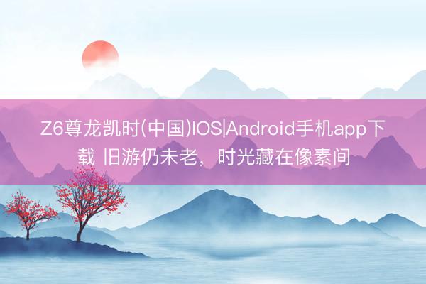 Z6尊龙凯时(中国)IOS|Android手机app下载 旧游仍未老，时光藏在像素间