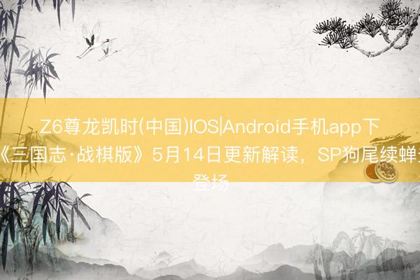 Z6尊龙凯时(中国)IOS|Android手机app下载 《三国志·战棋版》5月14日更新解读，SP狗尾续蝉登场