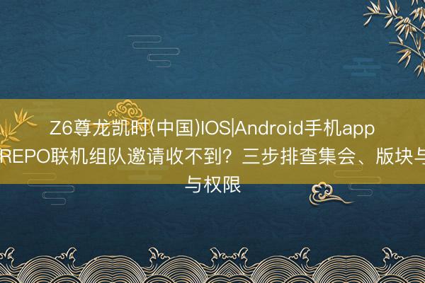 Z6尊龙凯时(中国)IOS|Android手机app下载 REPO联机组队邀请收不到？三步排查集会、版块与权限