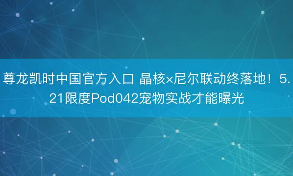 尊龙凯时中国官方入口 晶核×尼尔联动终落地！5.21限度Pod042宠物实战才能曝光