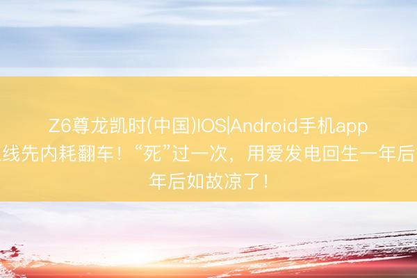 Z6尊龙凯时(中国)IOS|Android手机app下载 未上线先内耗翻车!“死”过一次,用爱发电回生一年后如故凉了!
