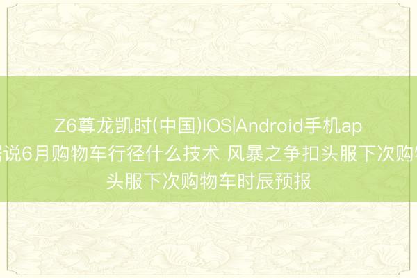 Z6尊龙凯时(中国)IOS|Android手机app下载 原始据说6月购物车行径什么技术 风暴之争扣头服下次购物车时辰预报