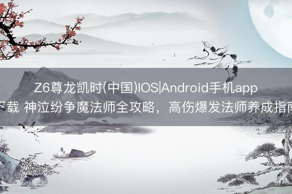Z6尊龙凯时(中国)IOS|Android手机app下载 神泣纷争魔法师全攻略，高伤爆发法师养成指南