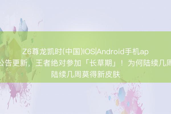 Z6尊龙凯时(中国)IOS|Android手机app下载 本周公告更新，王者绝对参加「长草期」！为何陆续几周莫得新皮肤