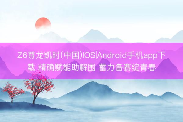 Z6尊龙凯时(中国)IOS|Android手机app下载 精确赋能助解围 蓄力备赛绽青春