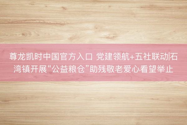 尊龙凯时中国官方入口 党建领航+五社联动|石湾镇开展“公益粮仓”助残敬老爱心看望举止