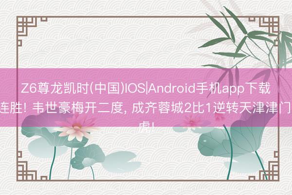 Z6尊龙凯时(中国)IOS|Android手机app下载 9连胜! 韦世豪梅开二度， 成齐蓉城2比1逆转天津津门虎!