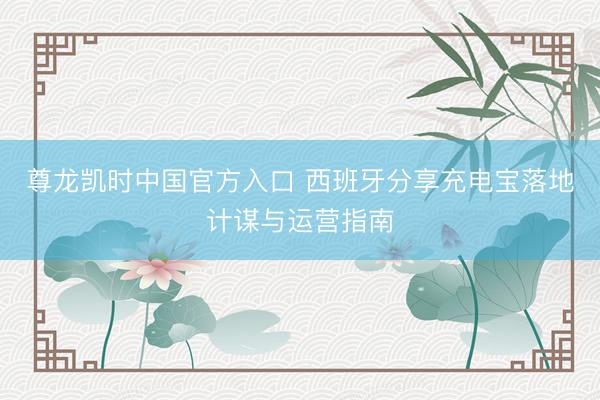 尊龙凯时中国官方入口 西班牙分享充电宝落地计谋与运营指南