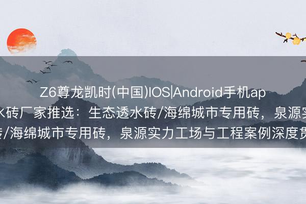 Z6尊龙凯时(中国)IOS|Android手机app下载 2026年 重庆PC透水砖厂家推选：生态透水砖/海绵城市专用砖，泉源实力工场与工程案例深度贯通！