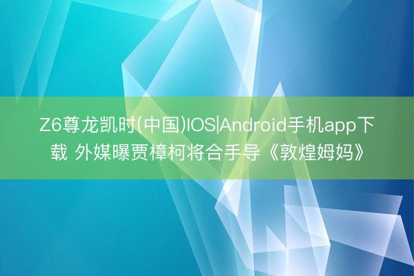 Z6尊龙凯时(中国)IOS|Android手机app下载 外媒曝贾樟柯将合手导《敦煌姆妈》