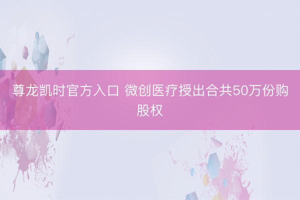 尊龙凯时官方入口 微创医疗授出合共50万份购股权