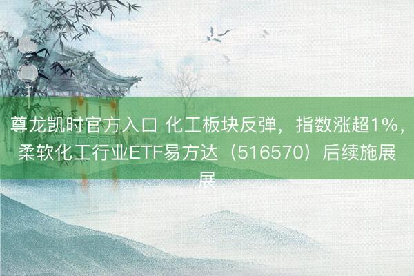 尊龙凯时官方入口 化工板块反弹，指数涨超1%，柔软化工行业ETF易方达（516570）后续施展