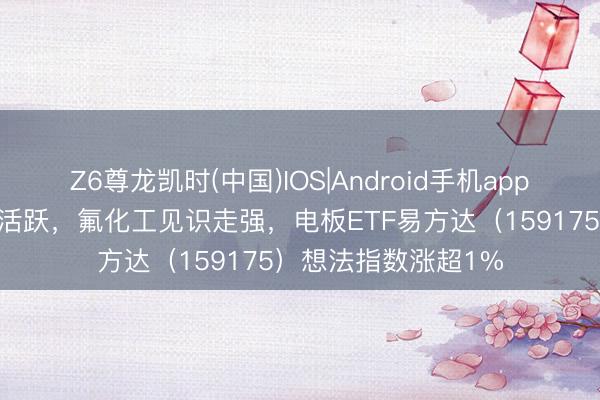 Z6尊龙凯时(中国)IOS|Android手机app下载 电板板块局部活跃，氟化工见识走强，电板ETF易方达（159175）想法指数涨超1%
