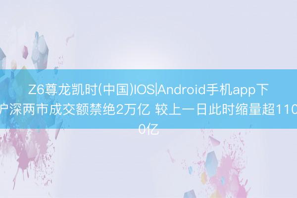 Z6尊龙凯时(中国)IOS|Android手机app下载 沪深两市成交额禁绝2万亿 较上一日此时缩量超1100亿