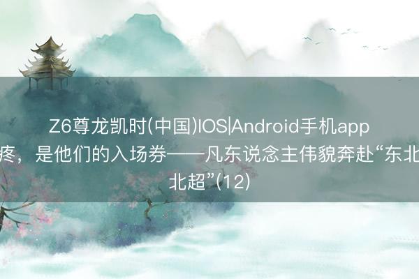 Z6尊龙凯时(中国)IOS|Android手机app下载 心疼，是他们的入场券——凡东说念主伟貌奔赴“东北超”(12)