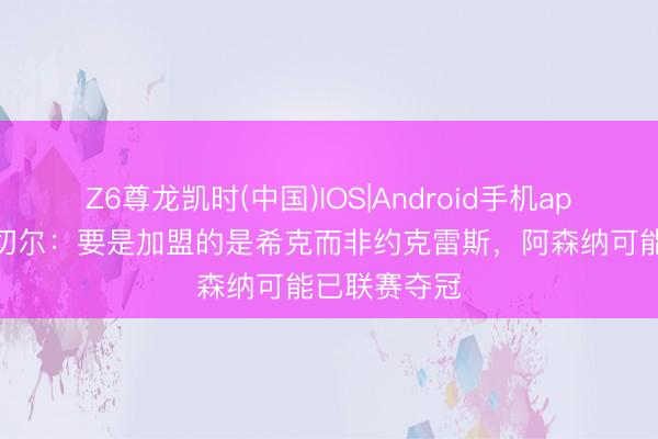 Z6尊龙凯时(中国)IOS|Android手机app下载 斯米切尔：要是加盟的是希克而非约克雷斯，阿森纳可能已联赛夺冠