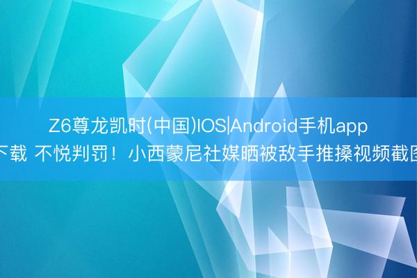 Z6尊龙凯时(中国)IOS|Android手机app下载 不悦判罚！小西蒙尼社媒晒被敌手推搡视频截图