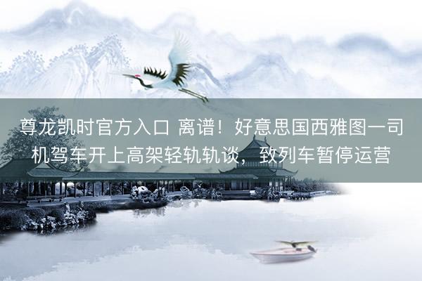 尊龙凯时官方入口 离谱！好意思国西雅图一司机驾车开上高架轻轨轨谈，致列车暂停运营