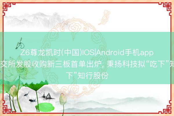 Z6尊龙凯时(中国)IOS|Android手机app下载 北交所发股收购新三板首单出炉， 秉扬科技拟“吃下”知行股份