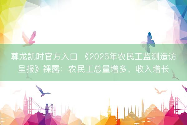 尊龙凯时官方入口 《2025年农民工监测造访呈报》裸露：农民工总量增多、收入增长