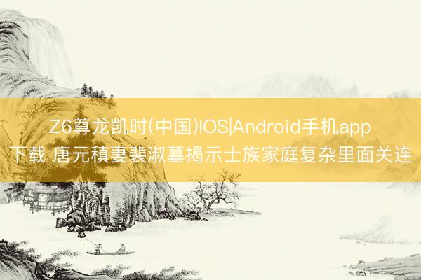 Z6尊龙凯时(中国)IOS|Android手机app下载 唐元稹妻裴淑墓揭示士族家庭复杂里面关连