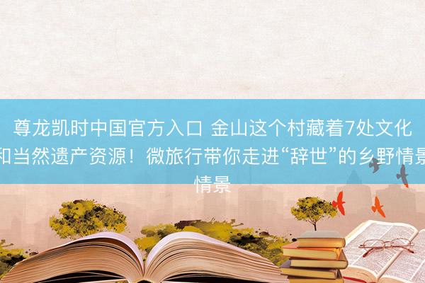 尊龙凯时中国官方入口 金山这个村藏着7处文化和当然遗产资源！微旅行带你走进“辞世”的乡野情景