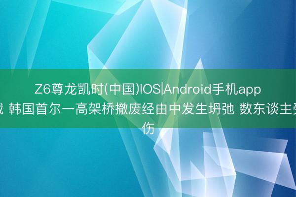 Z6尊龙凯时(中国)IOS|Android手机app下载 韩国首尔一高架桥撤废经由中发生坍弛 数东谈主受伤