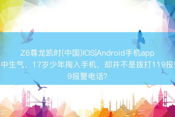 Z6尊龙凯时(中国)IOS|Android手机app下载 家中生气，17岁少年掏入手机，却并不是拨打119报警电话？