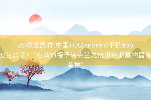Z6尊龙凯时(中国)IOS|Android手机app下载 波兰怒了！“应消逝授予乌克兰总统泽连斯基的最高荣誉”
