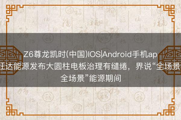 Z6尊龙凯时(中国)IOS|Android手机app下载 欣旺达能源发布大圆柱电板治理有缱绻，界说“全场景”能源期间