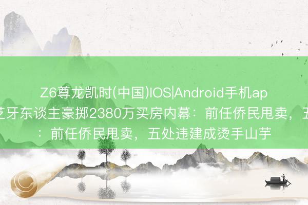 Z6尊龙凯时(中国)IOS|Android手机app下载 揭秘！张柏芝牙东谈主豪掷2380万买房内幕：前任侨民甩卖，五处违建成烫手山芋